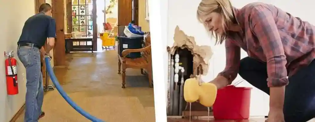 WDR PRO’s - Water Damage Restoration Service